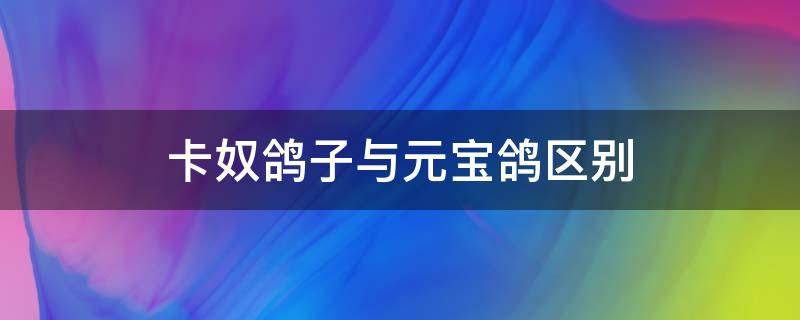 卡奴鸽子与元宝鸽区别 卡奴鸽和元宝鸽有什么区别