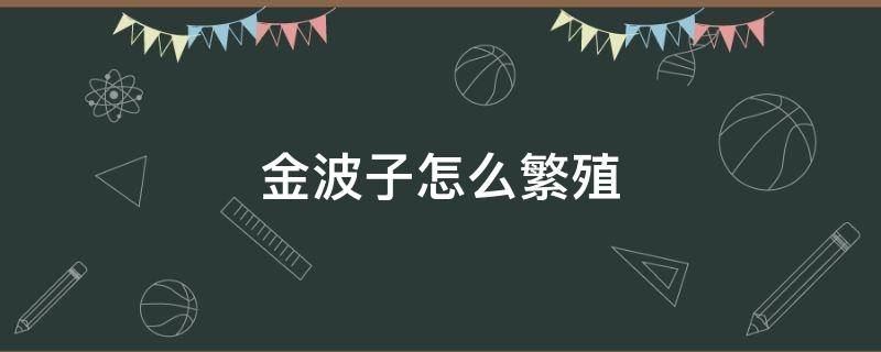 金波子怎么繁殖（金波子怎么繁殖快）