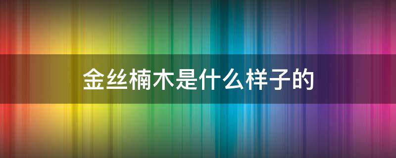 金丝楠木是什么样子的（金丝楠木像什么样子）