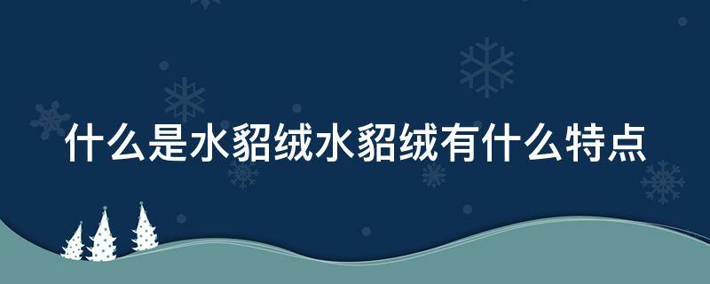 什么是水貂绒水貂绒有什么特点 市面上水貂绒是什么面料的