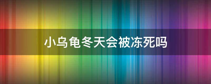 小乌龟冬天会被冻死吗（小乌龟会冻死吗?）