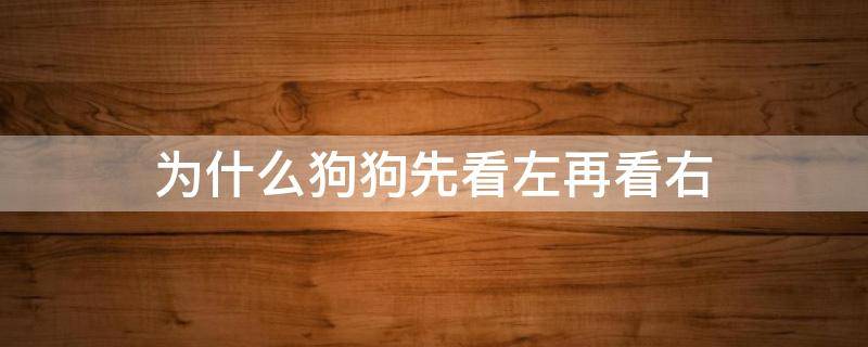 为什么狗狗先看左再看右 为什么狗狗先看左再看右脑筋急转弯