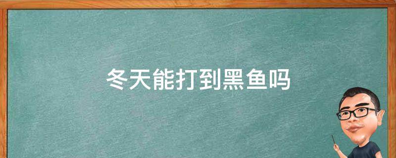 冬天能打到黑鱼吗（秋天能打到黑鱼吗）