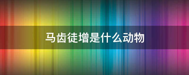 马齿徒增是什么动物 马齿徒长的徒是什么意思