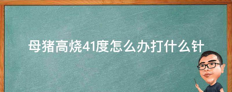 母猪高烧41度怎么办打什么针 猪高烧41度打什么针好