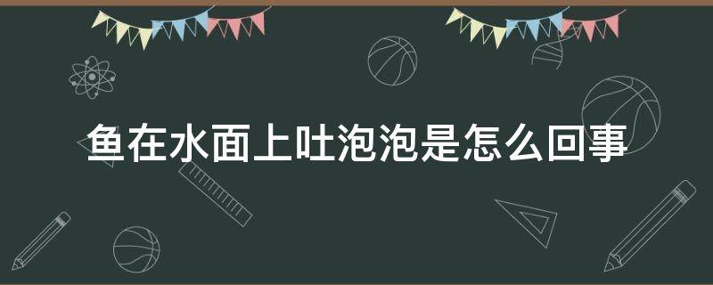 鱼在水面上吐泡泡是怎么回事 鱼为啥在水面上吐了好多泡泡