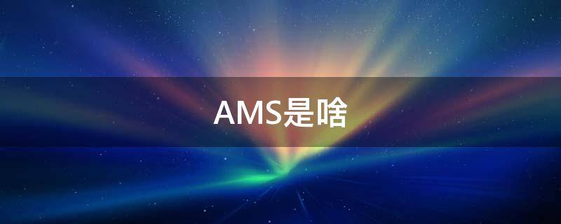 AMS是啥（AMS是啥意思）