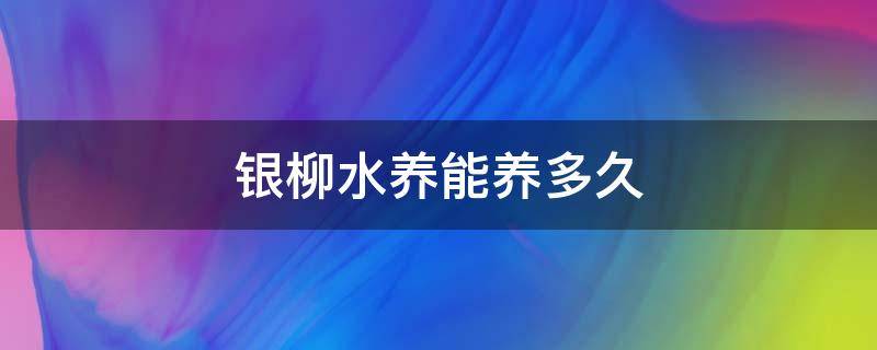 银柳水养能养多久 银柳水养可以养多久