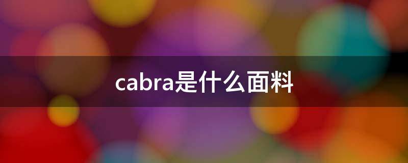 cabra是什么面料 CA是什么面料成分