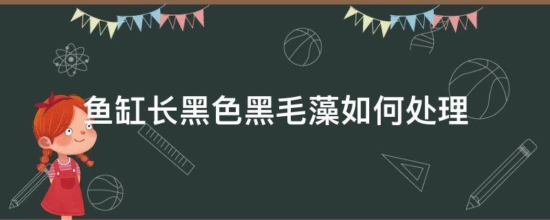 鱼缸长黑色黑毛藻如何处理 鱼缸中的黑色水藻怎么去除黑毛藻