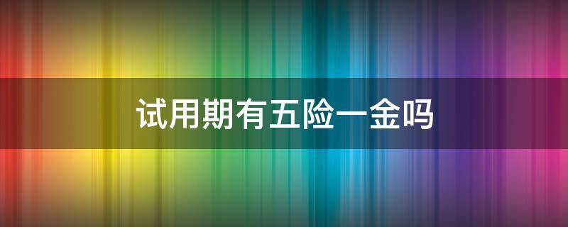 试用期有五险一金吗（公务员试用期有五险一金吗）