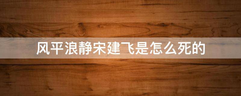 风平浪静宋建飞是怎么死的 风平浪静宋为哈啥要杀