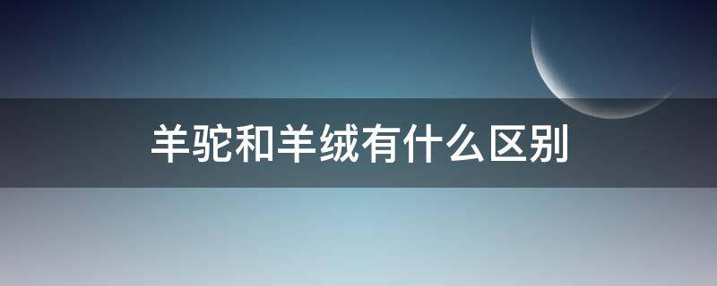 羊驼和羊绒有什么区别（羊驼绒和羊绒有什么区别）