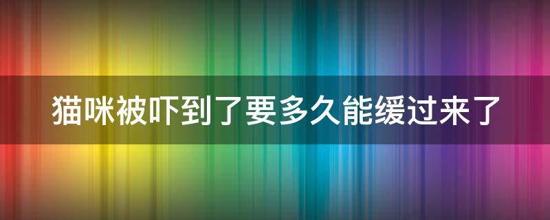 猫咪被吓到了要多久能缓过来了 猫咪被吓到了要多久能缓过来了呢