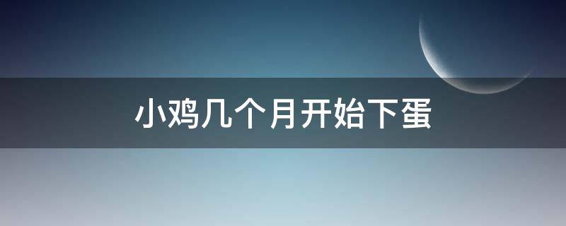 小鸡几个月开始下蛋 小鸡几个月开始下蛋,后来不下蛋了