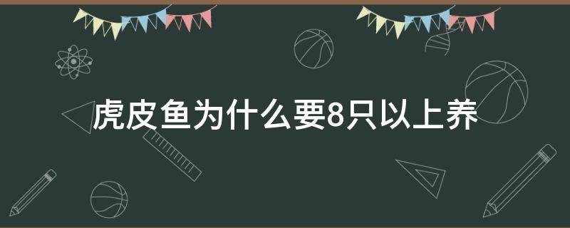 虎皮鱼为什么要8只以上养 养一条小型虎皮鱼它会孤单吗