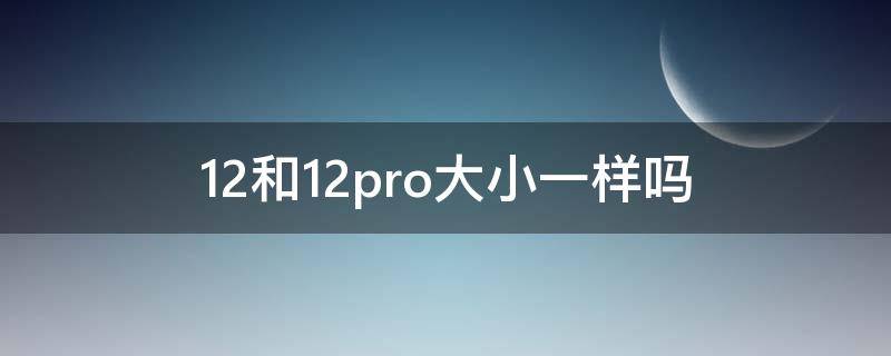 12和12pro大小一样吗（苹果12和12pro大小一样吗）