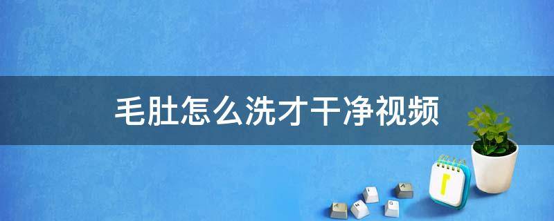 毛肚怎么洗才干净视频（牛毛肚怎么洗才干净视频）