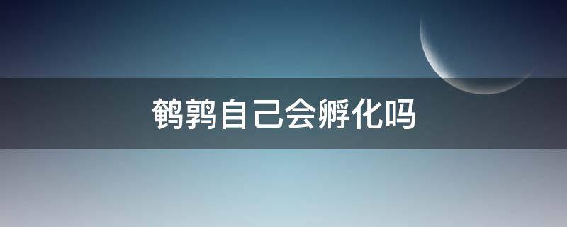 鹌鹑自己会孵化吗 鹌鹑蛋会自己孵化吗