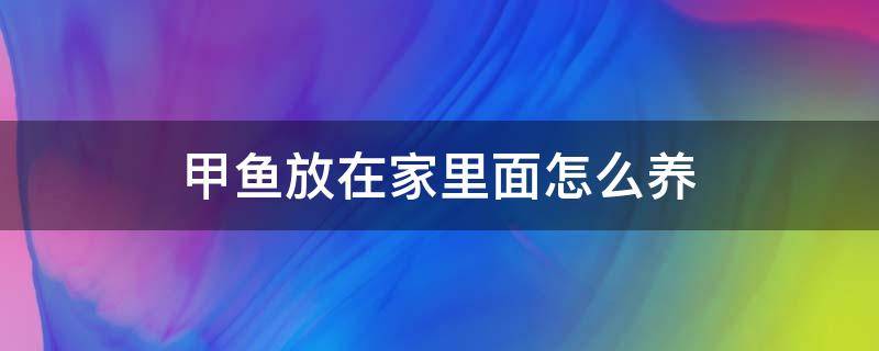 甲鱼放在家里面怎么养 甲鱼临时放在家里面怎么养