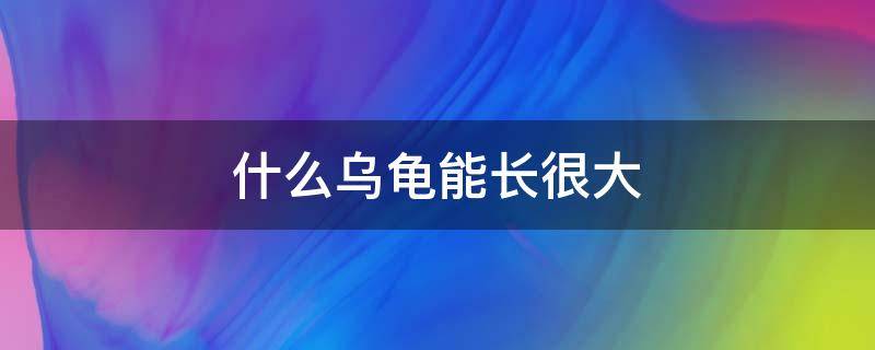 什么乌龟能长很大 乌龟最大能长多么大