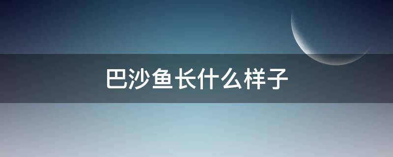 巴沙鱼长什么样子 巴沙鱼长什么样子的图片