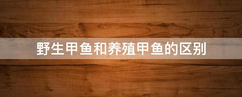 野生甲鱼和养殖甲鱼的区别（野生甲鱼和养殖甲鱼怎么区分）