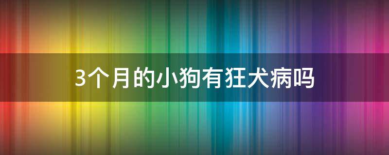 3个月的小狗有狂犬病吗（三个月的狗有狂犬病吗）