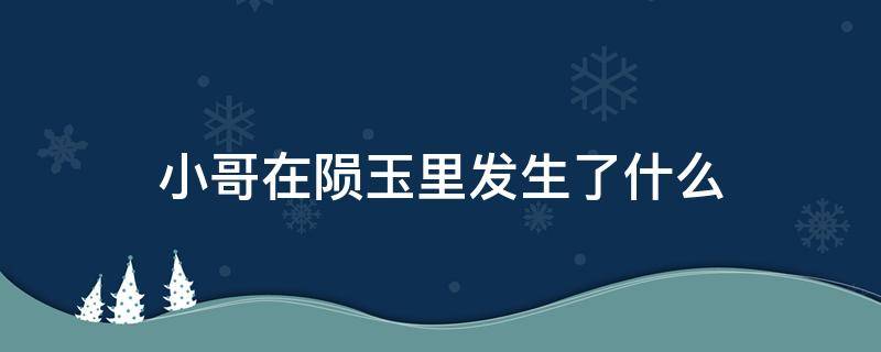 小哥在陨玉里发生了什么 小哥从陨玉出来说没时间了