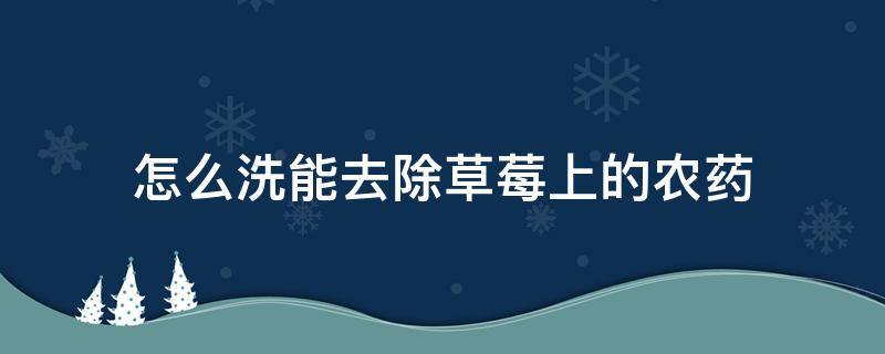 怎么洗能去除草莓上的农药 怎么洗掉草莓上的农药