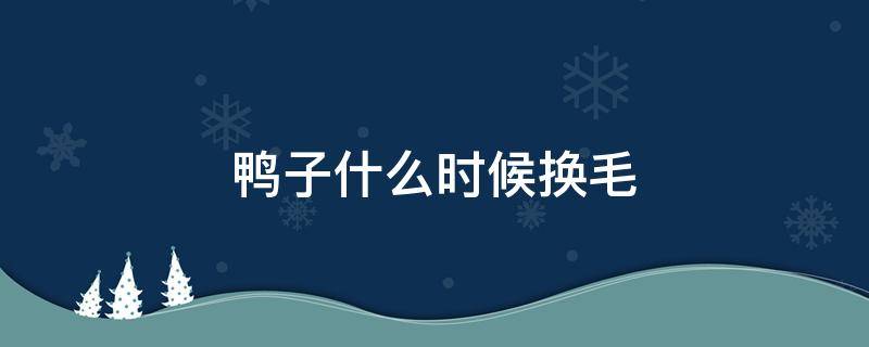 鸭子什么时候换毛 鸭子什么时候换毛,换几次