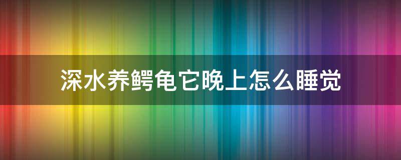 深水养鳄龟它晚上怎么睡觉（小鳄龟晚上睡觉么）