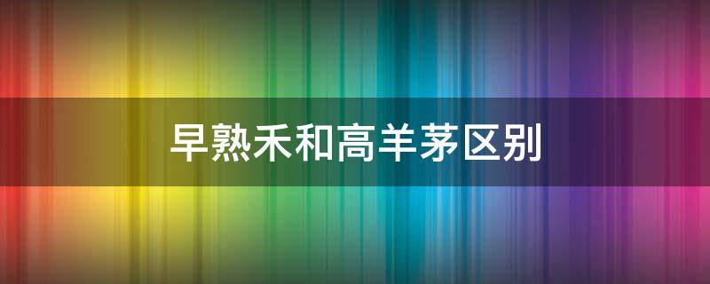 早熟禾和高羊茅区别（早熟禾和高羊茅区别图片）