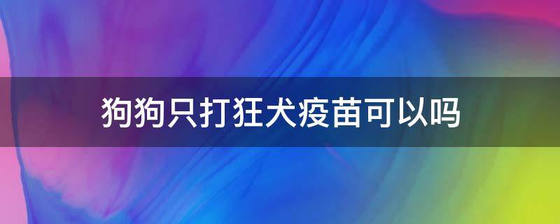 狗狗只打狂犬疫苗可以吗 狗狗只要打狂犬疫苗吗