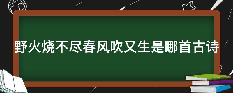 野火烧不尽春风吹又生是哪首古诗（野火烧不尽春风吹又生是哪首古诗的意思）