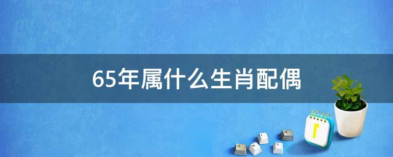 65年属什么生肖配偶（62年属什么生肖配偶）