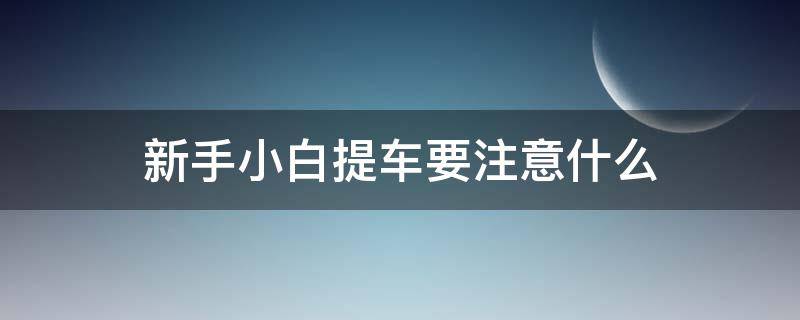 新手小白提车要注意什么 新手提车要注意的事项