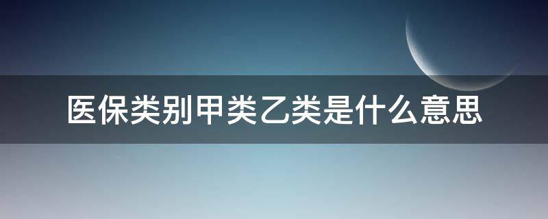 医保类别甲类乙类是什么意思（医保类别甲类乙类一般是什么意思）