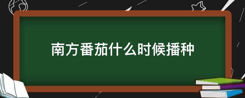 南方番茄什么时候播种 番茄南方播种时间