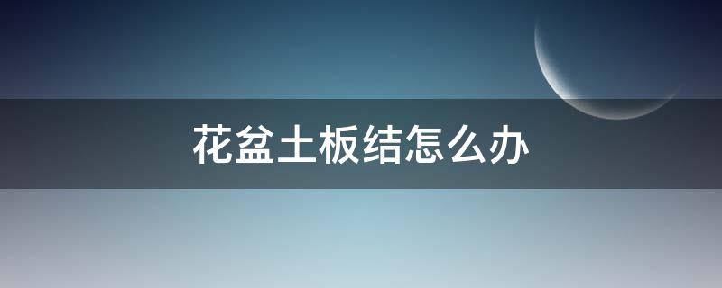 花盆土板结怎么办 长寿花盆土板结怎么办