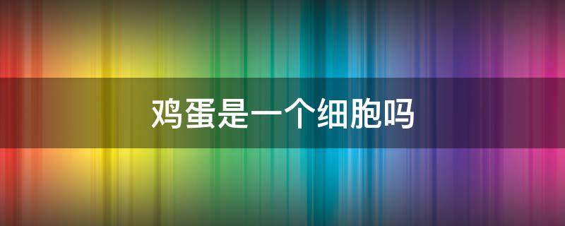 鸡蛋是一个细胞吗 鸡蛋是一个细胞吗知乎