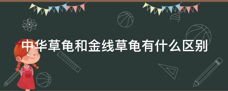 中华草龟和金线草龟有什么区别 中华草龟和金线草龟的区别