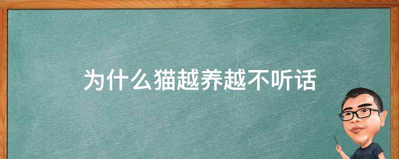 为什么猫越养越不听话（为什么猫越大越不听话）