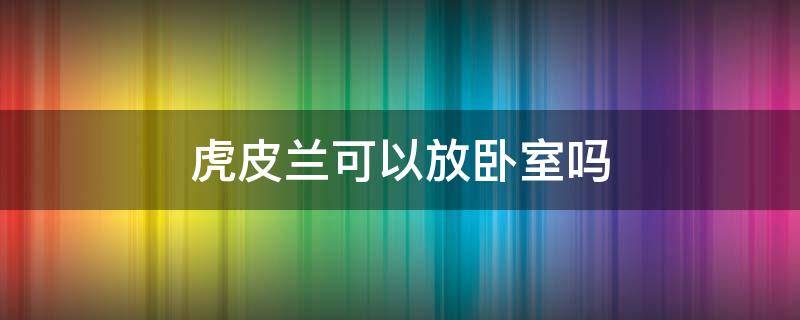 虎皮兰可以放卧室吗 虎皮兰可以放卧室吗?