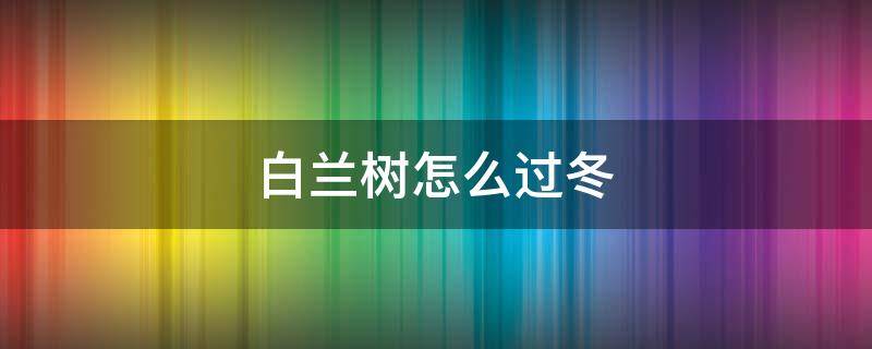 白兰树怎么过冬 白兰花树冬天能在外面过冬吗