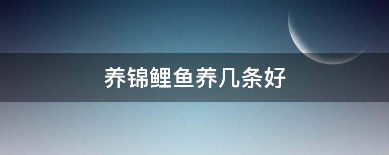 养锦鲤鱼养几条好（养锦鲤鱼养几条好 属相）