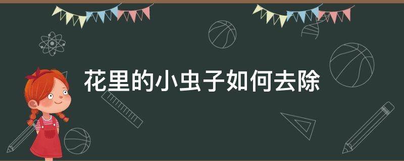 花里的小虫子如何去除 花上面的小虫子怎么处理