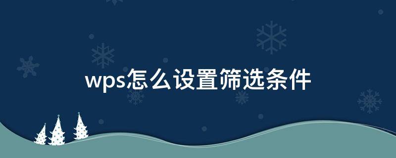 wps怎么设置筛选条件（手机wps怎么设置筛选条件）