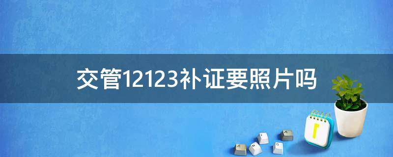 交管12123补证要照片吗（交管12123补办驾驶证需要照片吗）