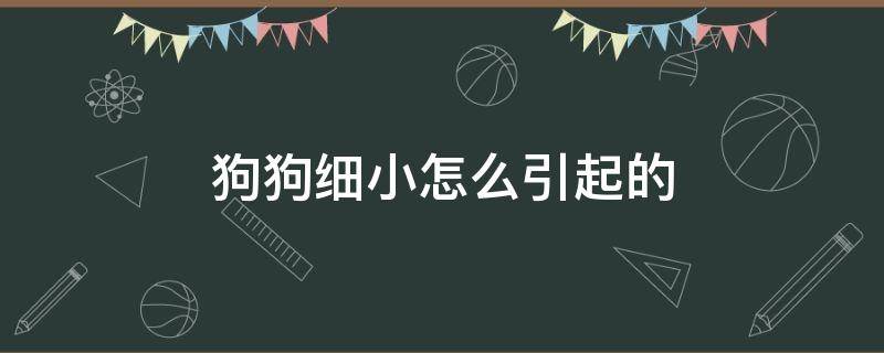 狗狗细小怎么引起的 狗狗得细小是什么原因引起的